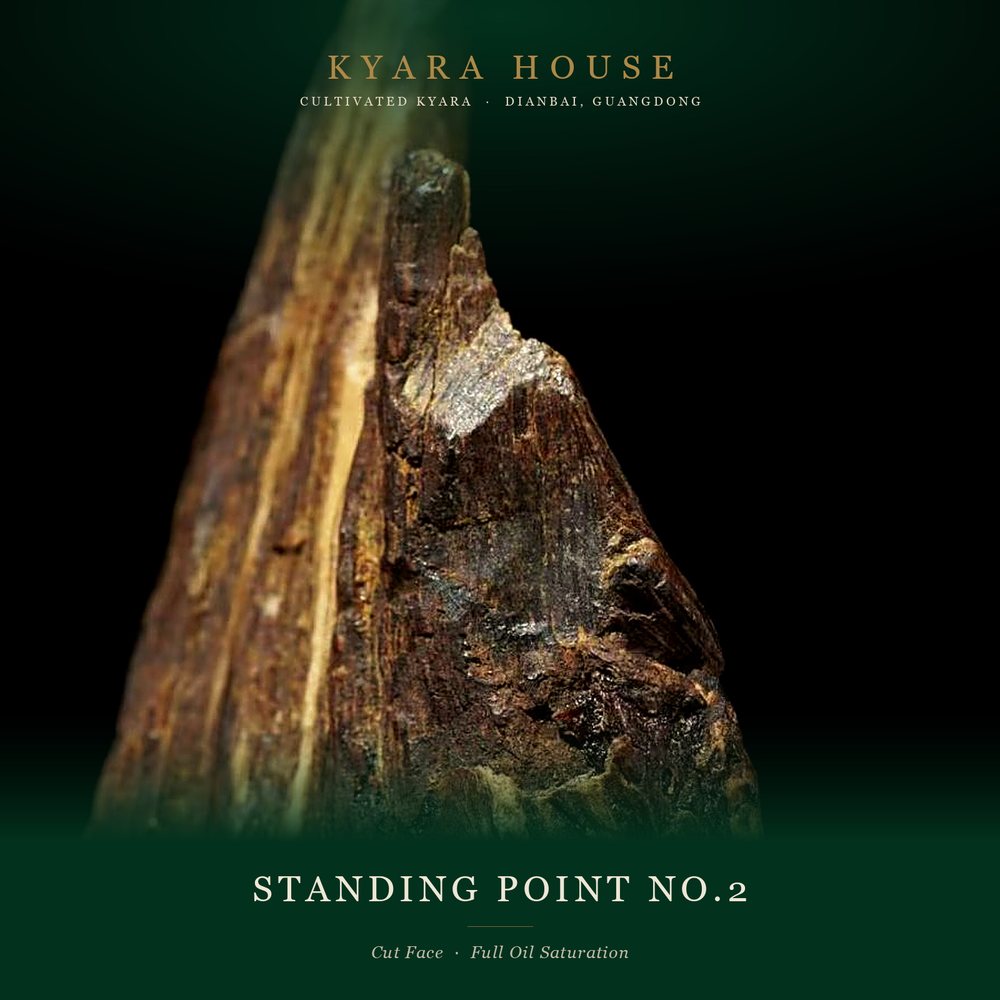 Display Standing Points