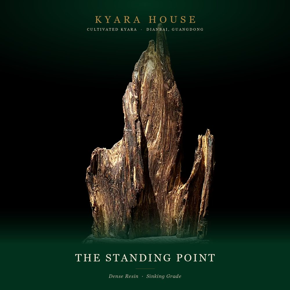 Display Standing Points