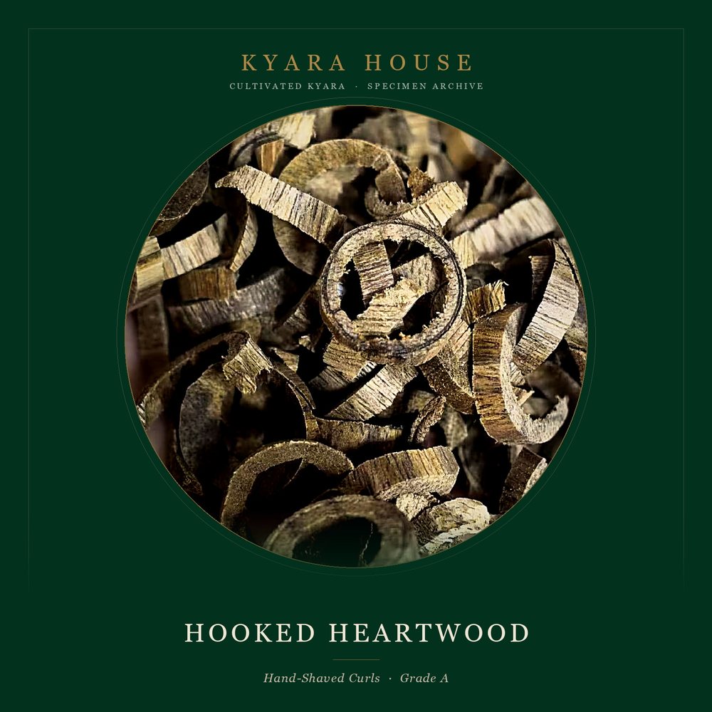 Hooked Heartwood Curls