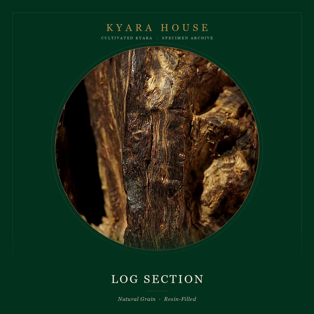 Wild Log Sections